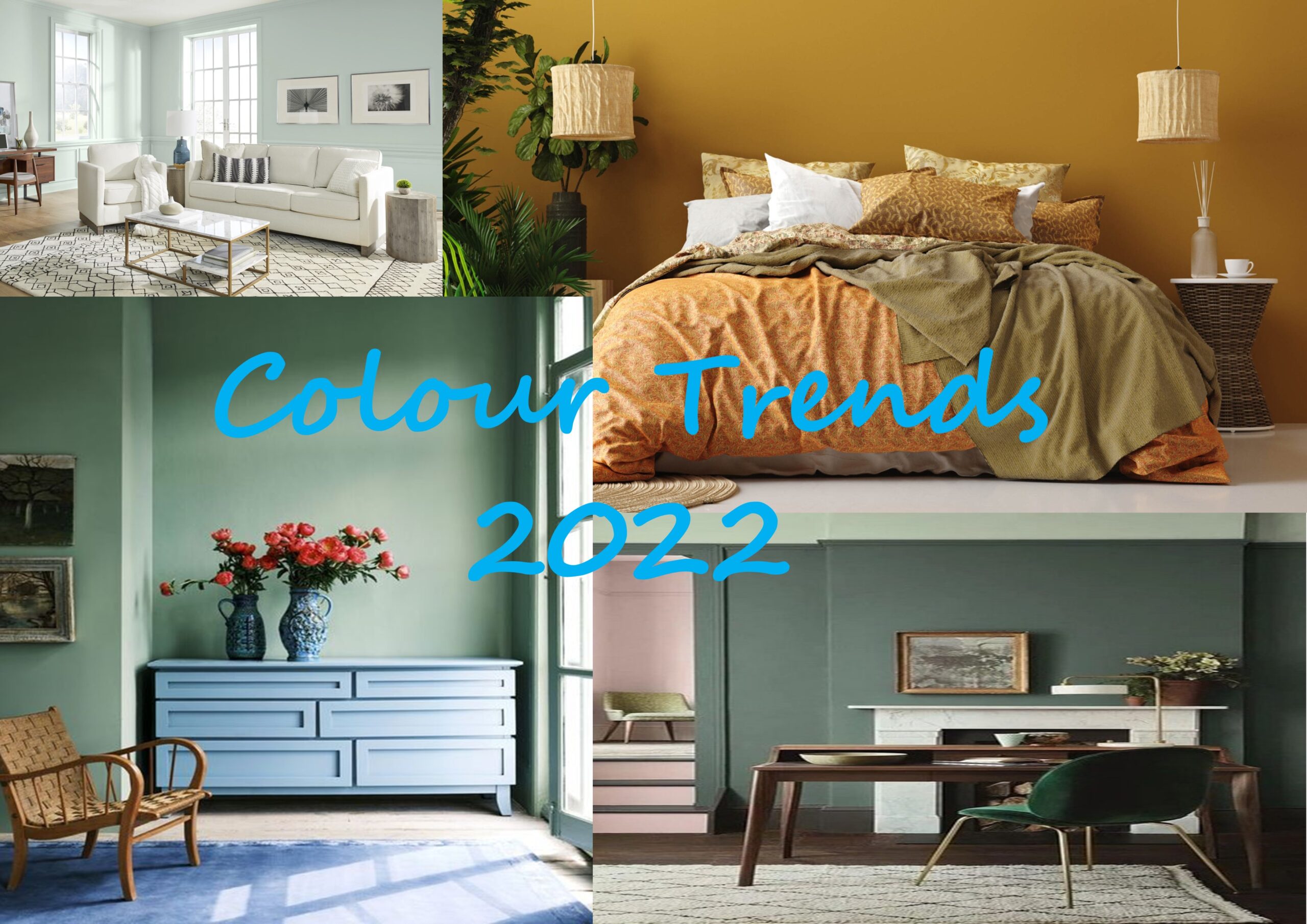 Discover Colour Trends 2022